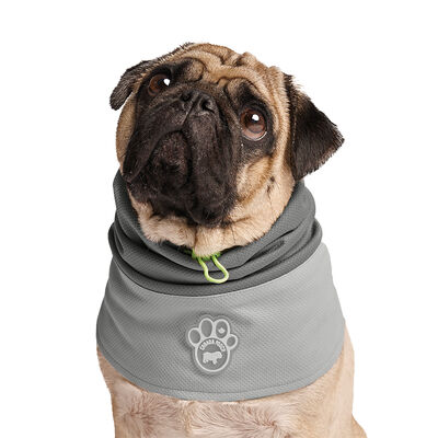 Canada Pooch, Max Chill Cooling Vest Grey